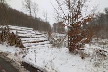 Westlich Unterste Kirschköpfchen bei Hochsitz 1