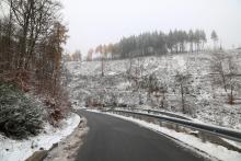 Kahlschläge Kurvenstrecke L903 nach Puderbach 2