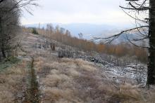 Burbachseite Grenze NRW_Hessen 1