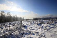 Kahlschlag am Stein, Richtung Puderbach