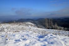 Kahlschlag am Stein, nördlich Puderbach 1