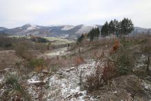 Puderbach Märchenweg Teil 2 Kahlschlag unterhalb