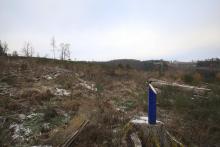 Puderbach Märchenweg Teil 2 Kahlschlag oberhalb