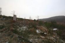 Puderbach Märchenweg Teil 2 Kahlschlag oberhalb