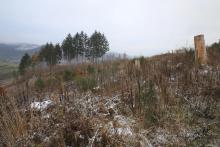 Puderbach Märchenweg Teil 2 Kahlschlag unterhalb