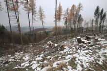 Am Fuße der Neuntel - Blickrichtung Süd