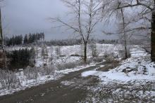 Am Fuße der Neuntel - Blickrichtung Ost direkt nach der Schutzhütte
