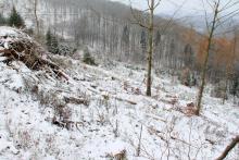 zum Harfeld - gegenüber Im Grund unterm Hülshofe 2