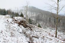 zum Harfeld - gegenüber Im Grund unterm Hülshofe 3