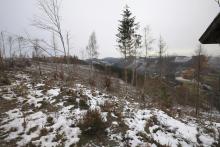 Hainroth - unterhalb Hettmannweg 4