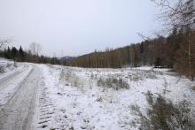 Wegespinne - Harfeld - unmittelbar an &quot;Birkeacker&quot;, oberhalb &quot;Nassehecke&quot; 2