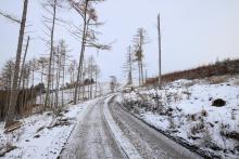 Wegespinne - Harfeld - nach Birkeacker - zwischen Prinzseifen und Schweinskaute - vor Harfeldergrund