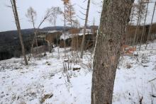 Wegespinne - Harfeld - nach Birkeacker - zwischen Prinzseifen und Schweinskaute - vor Harfeldergrund