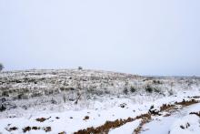 Auf der Steinecke  Auf der Weidetal