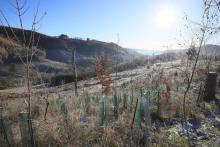 Eichhecke - Schorr - Richtung L903 Bad Laasphe - Puderbach