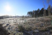 Eichhecke - Schorr - Richtung L903 Bad Laasphe - Puderbach