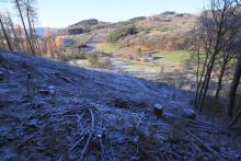 Fuß vom Hermannsberg - südlich Puderbach Richtung Bad Laasphe