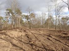 Dünenhang kahlgeschlagen und großzügig mehrfach befahren