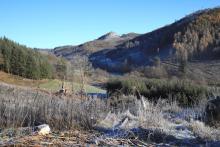 Vor Ortseingang - unterhalb Schorr - Lahn-Eder-Straße