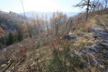 Heide-Berg, südliche Bergflanke - Mittelteil