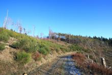 Faule Seite - Blick zum Gipfel von Südseite