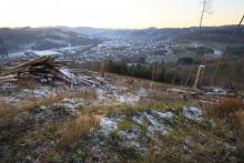 Faule Seite - nördliche Fläche