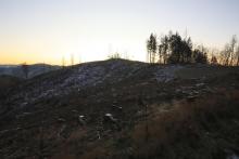 Heide-Berg - von hinten - östlich