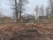 Kahlschlag im Zimmermannschen Wäldchen in Münster Kinderhaus im Dezember 2021