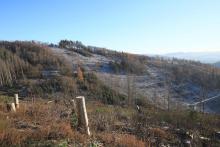 Talsenke zum Hardt - Niederlaasphe - kurz vor Grenze von NRW zu Hessen