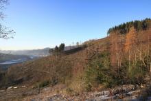 Talsenke zum Hardt - Niederlaasphe - kurz vor Grenze von NRW zu Hessen