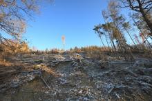 zum Hardt - Hangblick aufwärts