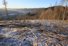 Hardt Gipfel - Niederlaasphe