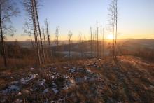 Auf Gipfel - Faule Seite 533m - Blick nach Niederlaasphe und Grenze zu Hessen