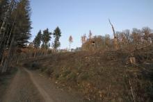 Hanglage Sommerberg zum Heide-Berg