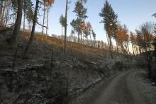 Hanglage Sommerberg zum Heide-Berg