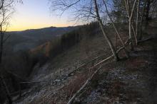 Oberhalb Rothenstein - zwischen Richtel und Sommerberg