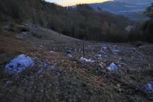 Oberhalb Rothenstein - zwischen Richtel und Sommerberg