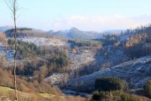 Ungeheuer Loch-In der Löbertsgrube - Am Volkershain - Vor der großen Puderburg - vor den Kurven zum Didoll