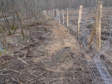Zaunbau an Kahlschlagfläche Kiefernforst an Kastanienallee. Bild vom 21.03.2021