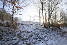 von Wegespinne auf Wanderweg L4 - zwischen Neesbach und Dreisbachs Seite