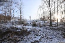 von Wegespinne auf Wanderweg L4 - zwischen Neesbach und Dreisbachs Seite