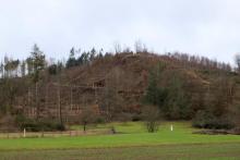 Auf und am Lehmbergköpchen - Bad Laasphe - Süd 2 - Werner-Schmidt-Weg