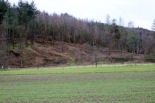 Nebenstück Hinterm Sahl - Nähe Aldi - Bad Laasphe - Süd 3