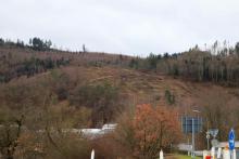 Auf und am Lehmbergköpchen - Bad Laasphe - Süd 2 - Werner-Schmidt-Weg