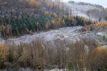 Östlich Puderbach - Richtel - oberhalb &quot;Vorm Burbach&quot;