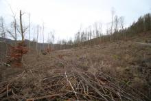 Puderburg - nördlich - NRW und Hessen - Landschaftsschutzgebiet NRW - FFH Hessen