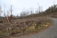 Puderburg - nördlich - NRW und Hessen - Landschaftsschutzgebiet NRW - FFH Hessen