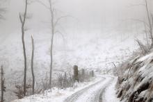 N_W der Puderburg - Hessen - 4.12.2022