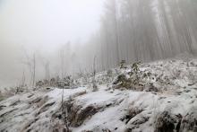 N_W der Puderburg - Hessen - 4.12.2022