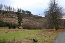 Wanderweg L4 - unterhalb Dreisbachs Seite - unterhalb Neesbachs faule Seite - östlich Obernberg - Bad Laasphe - Nord 2